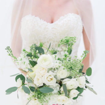 Garden Cream + White